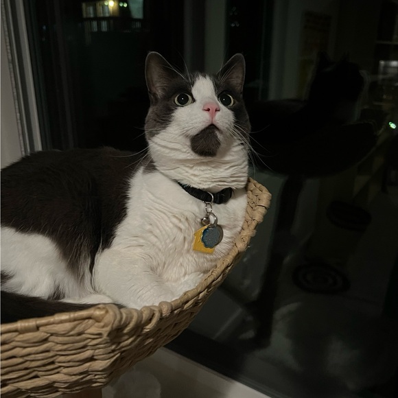 pipruby1